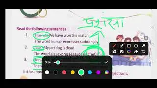 class 4 interjection 20/11/2024