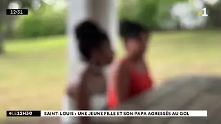 Une jeune fille et son père victimes d’une agression en bande devant un lycée de Saint-Louis.