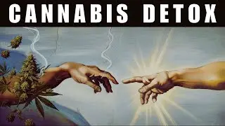 The FASTEST Way to Rewire Your Brain After Cannabis Addiction (Step-by-Step Guide)