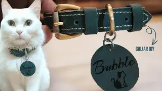 Leather Cats & Dogs Collar | Make Your Own Pet Collar #leathercraft #diy #asmr