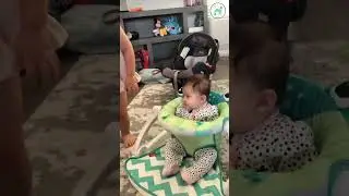 Baby Bouncer Bonanza | Hilarious Adventures of Little Ones | Baby Funny Short | BabyFunnyActivity