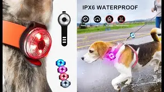 Battery Powered Multi Colors Pet Collar Light Dog Safety Lights For Dog Walking