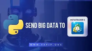 Sending big DATA from Python to MT5 fixed!