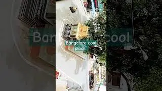 #bangalore #funny #kovalambeach #bangalorenews #dog #sweetdog #comedy #bakery #office #ship