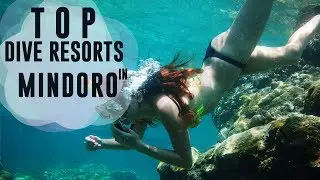 Dive Resorts and Hotels at Mindoro, Puerto Galera, Philippines