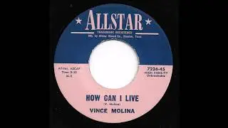 Vince Molina - How Can I Live