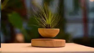 Air-Flower Levitating Plants!