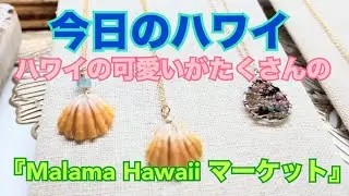 【今日のハワイ】Hawaii Today またAla Moana Center でやっているマーケットに遭遇しむきた！#ハワイ 2026年1月11日
