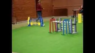 Kaninhoppning