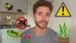 Gazteok eta 2030 Agenda: Espezie inbaditzaileak