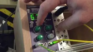 Beast-Tek Irukandji Glitch Drum