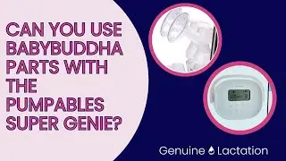 Can you use BabyBuddha parts with the Pumpables Super Genie?