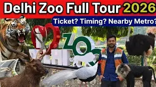 National Zoological Park New Delhi | Delhi Ka Chidiyaghar Dikhao Full Vlog | Delhi Zoo Nearest Metro