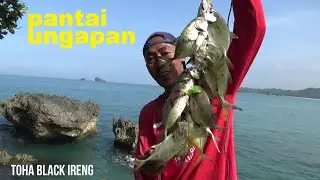 FULL SETRIKE TANPA BASA BASI. PANTAI UNGAPAN MALANG SELATAN JAWA TIMUR. MICRO FISHING