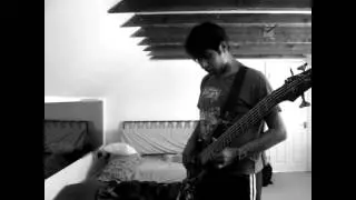 Muse - Map of The Problematique Loop pedal bass cover