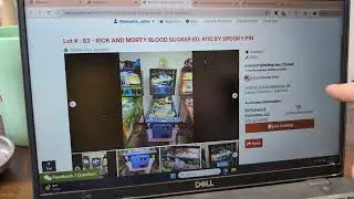 Pinball Auction Results (6/4/25):  I won some and I lost some, but generally cheap prices