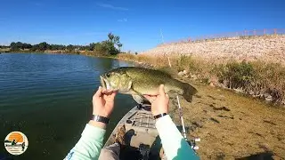 Brushy Creek Park | Cedar Park TX | Largemouth Bass