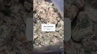 Zoap 🧟&zwj;♂️#trending #rap #undergroundsounds #thca #thcareview #hemp #thc