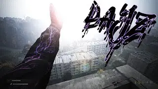 bez tormazov #dayz #fragmovie #midnight