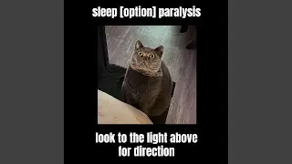 look to the dark