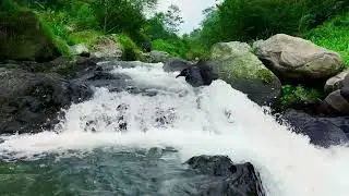 Serene River Flow &ndash; Deep Sleep in the Heart of Nature | sleep - relax - enjoy life - ASMR