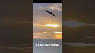 Palavra que edifica!#palavraqueedifica #palavradesabedoria #reflexionesdevida