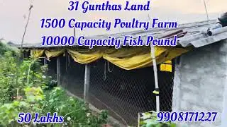 31 Gunthas | 1500 Capacity Poultry Farm | 10000 Capacity Fish Pound #poultryfarming #fishfarming 