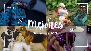 Mejores Momentos #16 de Lola 