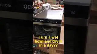 Will it work? Wood turn a wet bowl and dry it in a day or two😱
