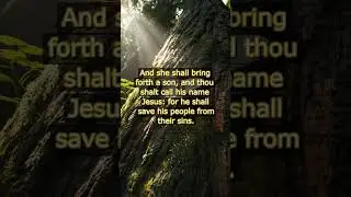 Matthew 1:21