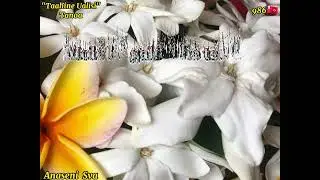 Ta'ahine Ualisi - Tanoa (Paroles/Lyrics)