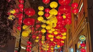 Lanterns and blossoms celebrate year of the horse 2026
