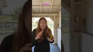 Leather Conditioner for Horse Tack Cleaning - Condition Your Saddle and Bridle