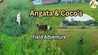 Angata & Coco&rsquo;s Field Adventure: Love in Himalayas #HimalayaTreasure
