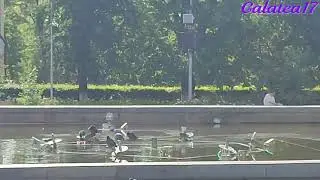 СПА САЛОН В ЦЕНТРЕ ГОРОДА