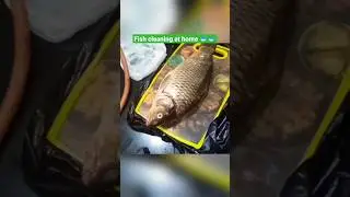 Fish cleaning at home #fishcleaning #fishcutting #shorts