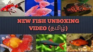 New fish unboxing video @fantacyfishworldwide 
