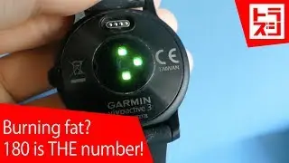 MAF Aerobic Training For Burning Fat