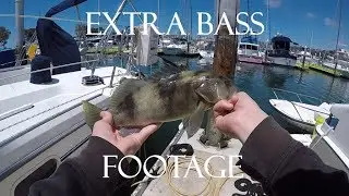 Extra Bass Footage -- Dana Point Harbor/Inshore Southern California