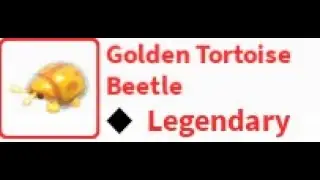 Making neon garden snake and getting golden tortoise beetle