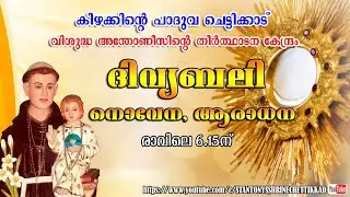 13 JANUARY 2026  ||  ദിവ്യബലി ||  ST. ANTONYS SHRINE CHETTIKKAD