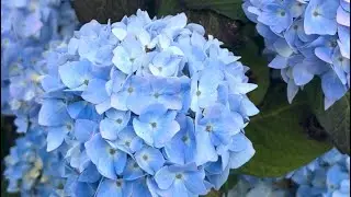 One day with me in the city/ Один день со мной в городе 