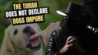 Dogs are not impure according to the torah