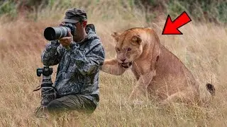 Die SCHLIMMSTEN Tierangriffe Auf Fotografen Aller Zeiten