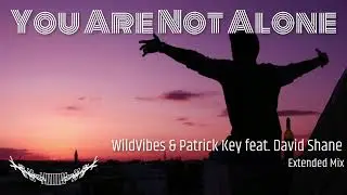 WildVibes & Patrick Key feat  David Shane   You Are Not Alone (Extended Mix) (MV / Visualizer)