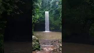 WATERFALL TRIP UBUD || BEST HIDDEN WATERFALL || BALI