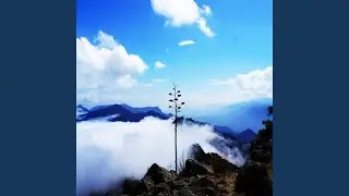 Indian Guitar Meditation and Healing Music for Relaxation and Sleep