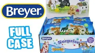 Breyer Pocket Box Dogs Surprise Full Case Unboxing Toy Review Pocket Dogs