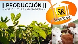 ||| ESTA SEMANA EN SABER RURAL ||   Producci&oacute;n agr&iacute;cola y ganadera  T-24 E&not;29|01|X26