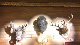 Max, Buff and Melvin after show dialog